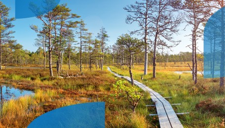 Summer vacation in Estonia: where to go and how to keep it budget-friendly