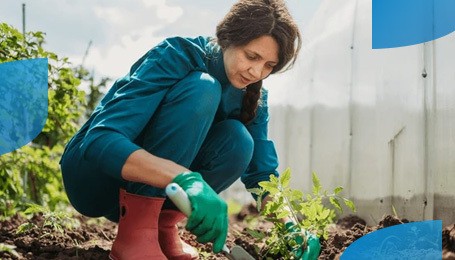 Garden tasks you should definitely do in July